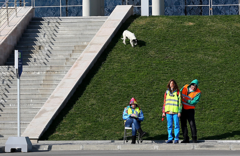 Illustration for article titled The Dogs Of Sochi